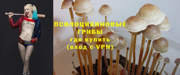 первитин Балахна