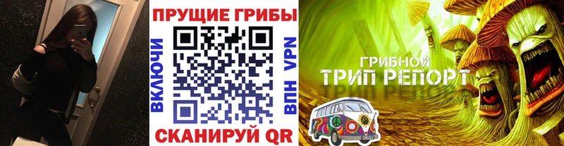 Купить закладки  Звенигово  Псилоцибиновые грибы мухоморы 